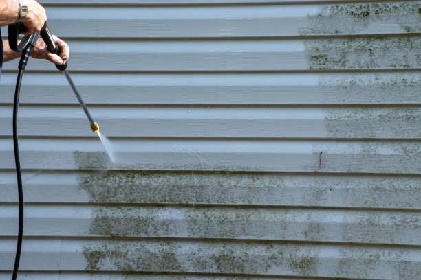 Best Engineered Wood Siding  in Mount Hope, NJ